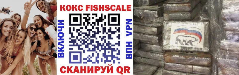 Cocaine FishScale  магазин  наркотиков  Канаш 