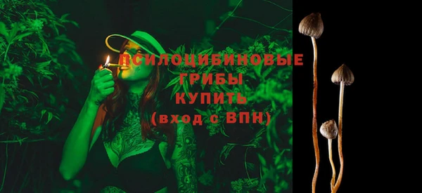 дмт Алзамай