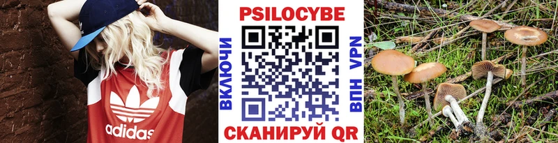 Псилоцибиновые грибы мухоморы  сколько стоит  Канаш 