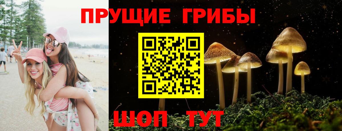 Псилоцибиновые грибы MAGIC MUSHROOMS  Вход с VPN  Канаш  Галлюциногенные грибы ЛСД 
