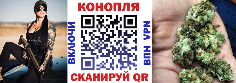 МАРИХУАНА гибрид  Канаш 