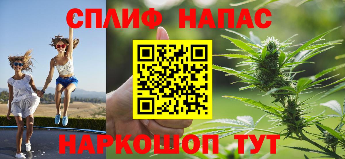 Канабис ГИДРОПОН Канаш